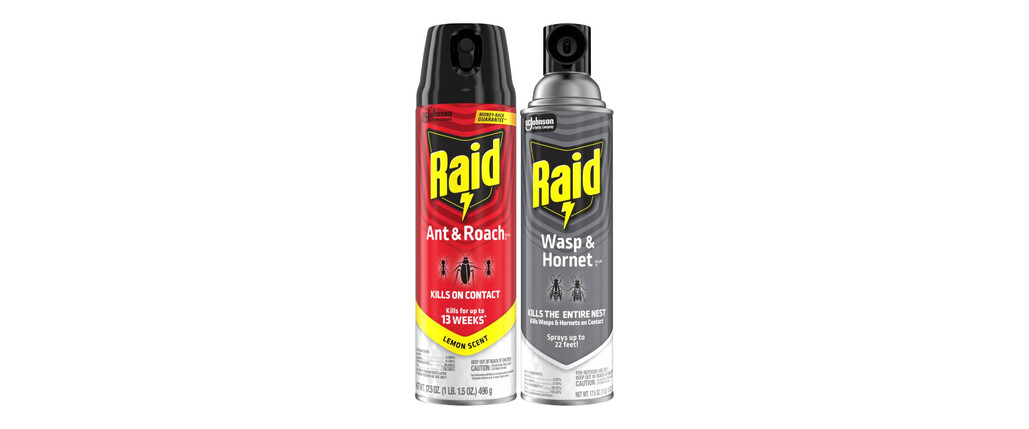 Raid® coupon